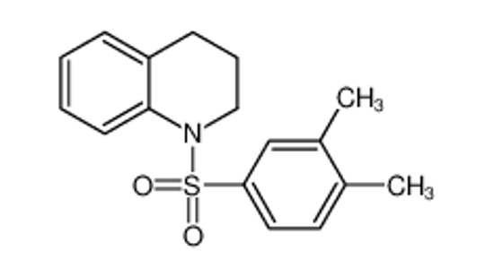 Picture of 1-(3,4-dimethylphenyl)sulfonyl-3,4-dihydro-2H-quinoline