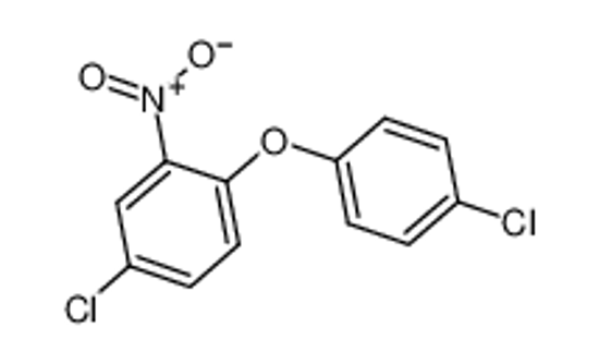 Imagem de 4-Chloro-1-(4-chlorophenoxy)-2-nitrobenzene