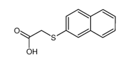 Picture of 2-naphthalen-2-ylsulfanylacetic acid