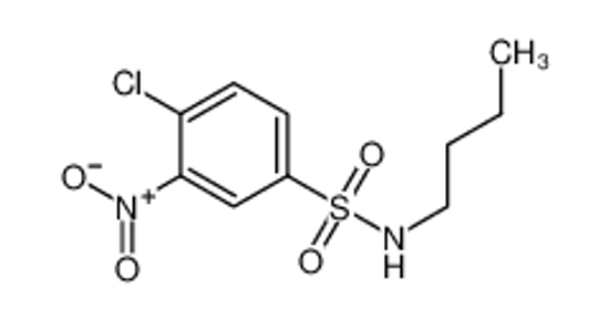Picture of N-butyl-4-chloro-3-nitrobenzenesulfonamide