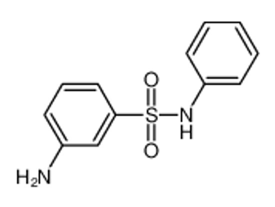 Picture of 3-Amino-N-phenylbenzenesulfonamide