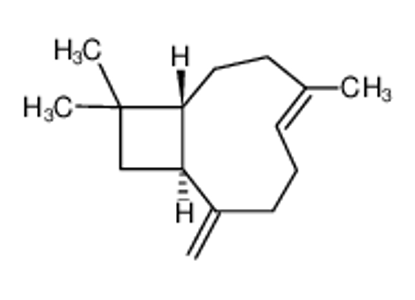 Изображение (-)-β-caryophyllene