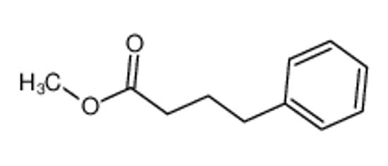 Picture of methyl 4-phenylbutanoate