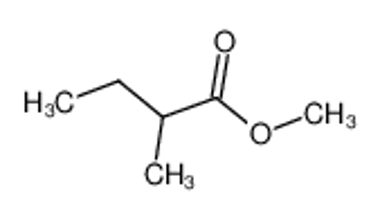 Picture of Methyl DL-2-Methylbutyrate
