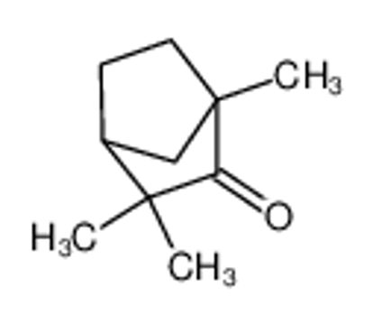 Picture of (1R,4S)-fenchone