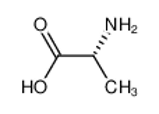 Picture of L-alanine