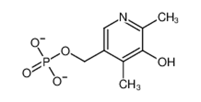Picture of (5-hydroxy-4,6-dimethylpyridin-3-yl)methyl phosphate