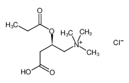 Picture of (R)-Propionyl Carnitine Chloride