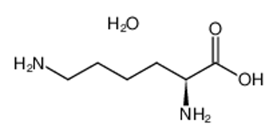 Picture of L(+)-Lysine monohydrate