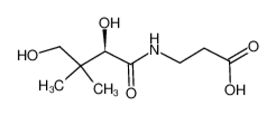 Picture of (R)-pantothenic acid