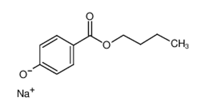 Show details for Butylparaben Sodium Salt