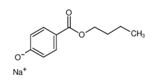 Picture of Butylparaben Sodium Salt