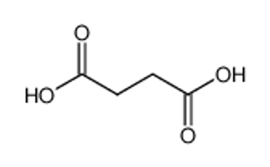 Picture of succinic acid