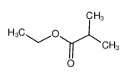 Show details for ethyl isobutyrate