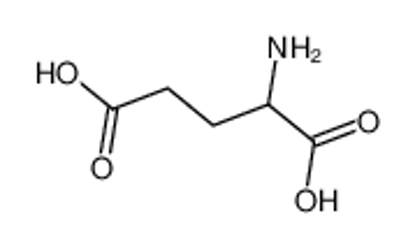 Show details for glutamic acid