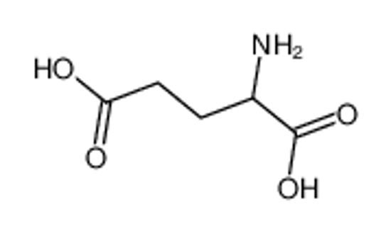 Picture of glutamic acid