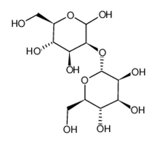 Picture of 2α-Mannobiose