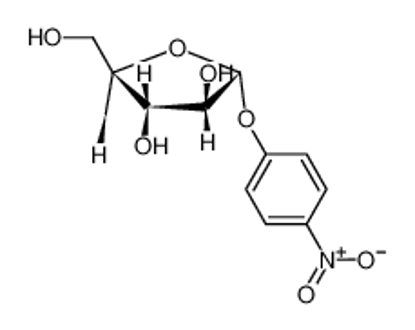 Show details for β-glucosidase