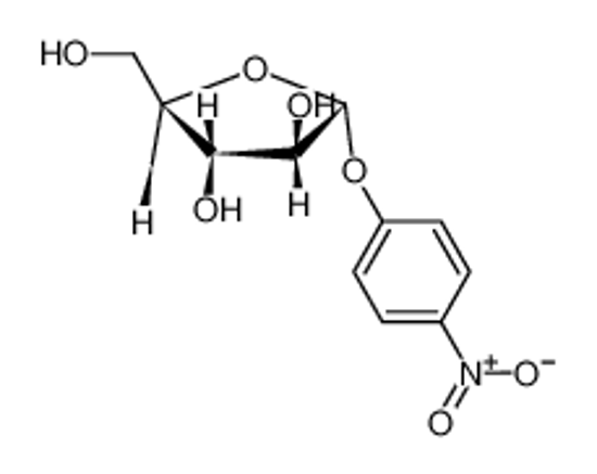 Picture of β-glucosidase