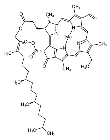 Picture of Chlorophyll a