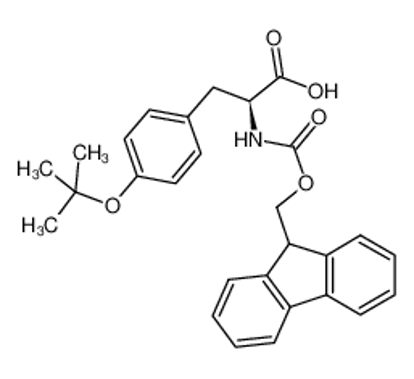 Показать информацию о Fmoc-O-tert-butyl-L-tyrosine