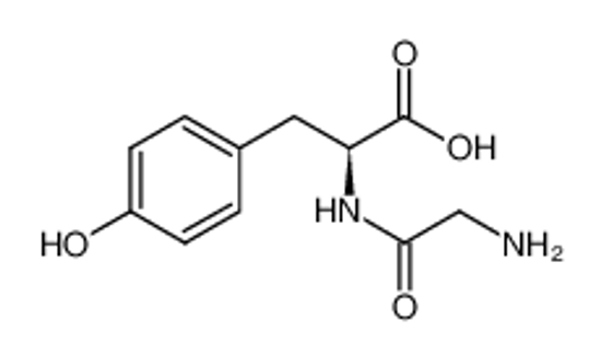 Picture of N-Glycyl-L-tyrosine