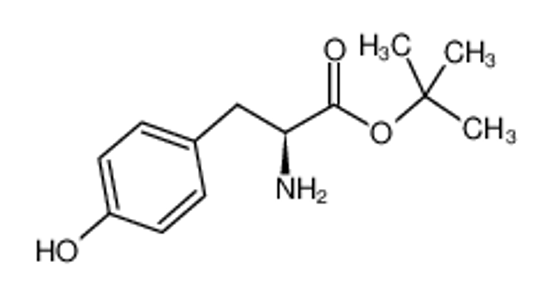 Picture of tert-butyl (2S)-2-amino-3-(4-hydroxyphenyl)propanoate