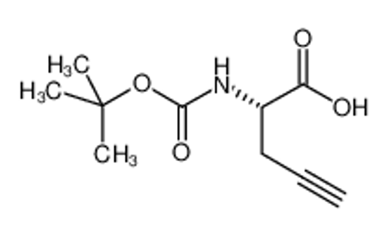 Picture of (R)-N-BOC-Propargylglycine