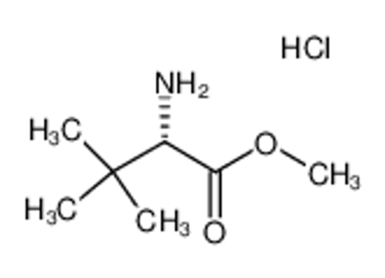 Picture of L-tert-Leucine methyl ester hydrochloride