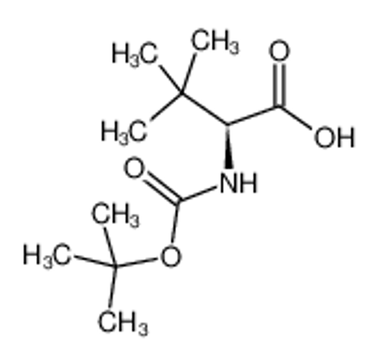 Picture of N-Boc-L-tert-Leucine