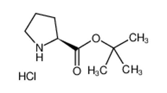 Picture of tert-Butyl L-prolinate hydrochloride