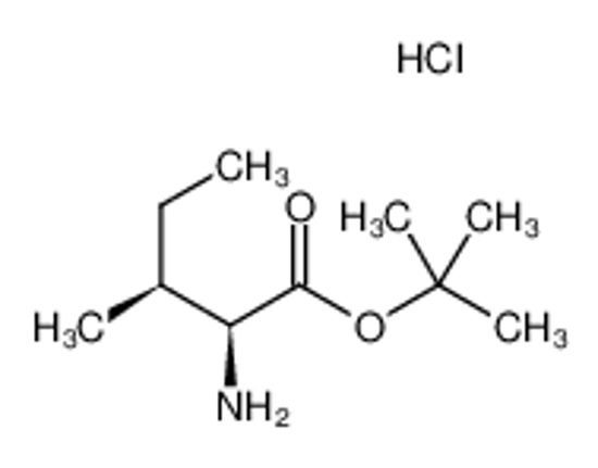 Picture of L-Isoleucine tert-butyl ester hydrochloride