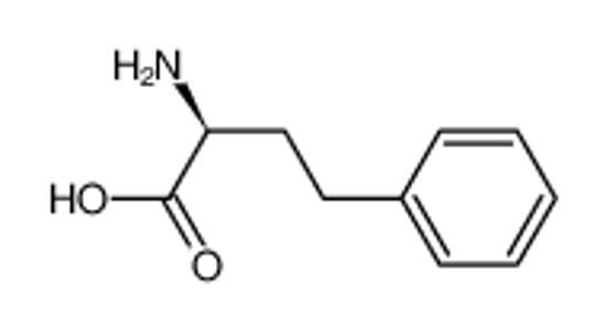 Picture of L-homophenylalanine