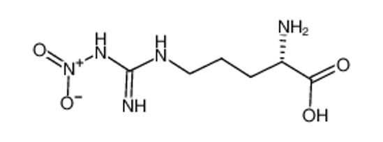 Picture of N'-Nitro-L-arginine