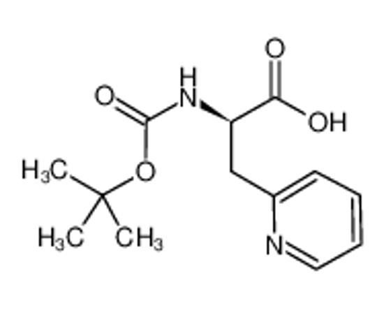 Picture of (2R)-2-[(2-methylpropan-2-yl)oxycarbonylamino]-3-pyridin-2-ylpropanoic acid