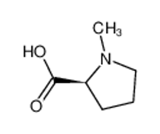 Picture of N-Methyl-L-proline