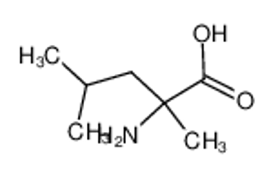 Picture of DL-α-METHYLLEUCINE