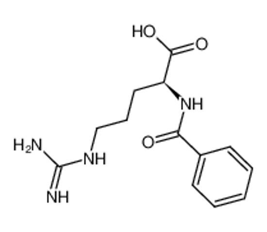Picture of N-ALPHA-BENZOYL-L-ARGININE