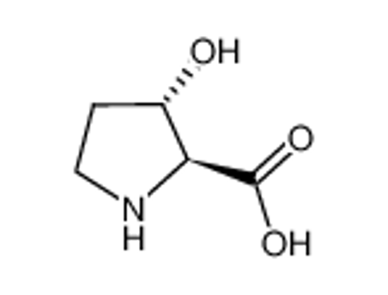 Picture of TRANS-3-HYDROXY-L-PROLINE