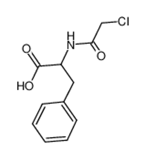 Picture of N-Chloroacetyl-DL-phenylalanine