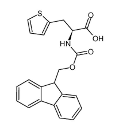 Picture of (S)-2-((((9H-Fluoren-9-yl)methoxy)carbonyl)(thiophen-2-yl)amino)propanoic acid