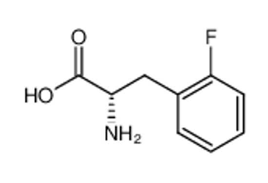 Picture of 2-FLUORO-L-PHENYLALANINE
