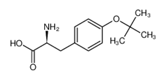 Picture of (2S)-2-amino-3-[4-[(2-methylpropan-2-yl)oxy]phenyl]propanoic acid