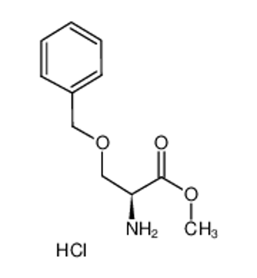 Picture of O-BENZYL-L-SERINE METHYL ESTER HYDROCHLORIDE