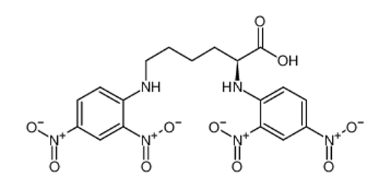 Picture of DI-DNP-L-LYSINE