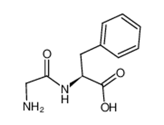 Picture of GLYCYL-L-PHENYLALANINE