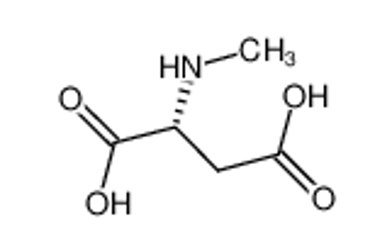 Picture of N-Methyl-D-aspartic acid