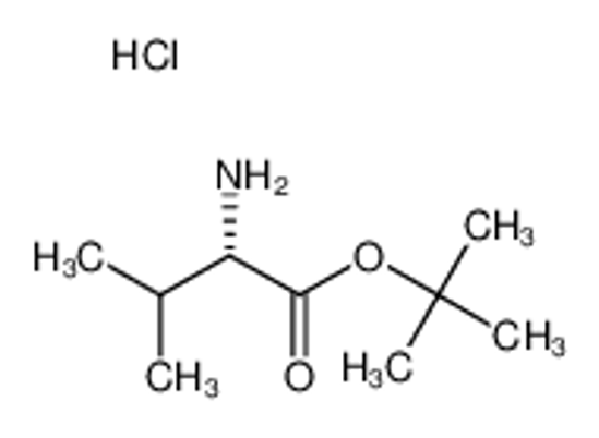 Picture of L-Valine t-butyl ester hydrochloride