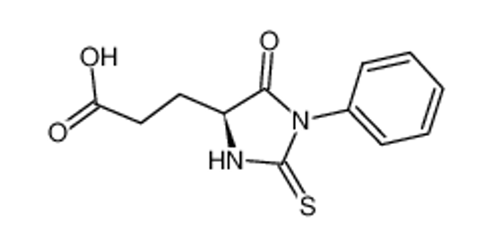 Picture of 3-(5-oxo-1-phenyl-2-sulfanylideneimidazolidin-4-yl)propanoic acid