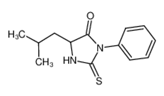 Picture of PTH-LEUCINE